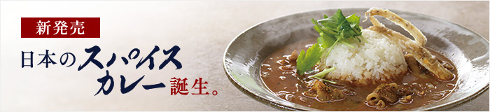 スパイスカレー