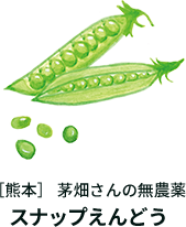 茅畑さんの無農薬スナップえんどう