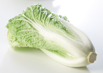 これまでのレシピ集