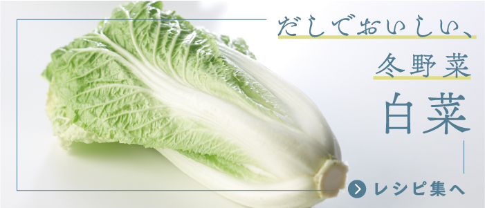 だしでおいしい、冬野菜 白菜