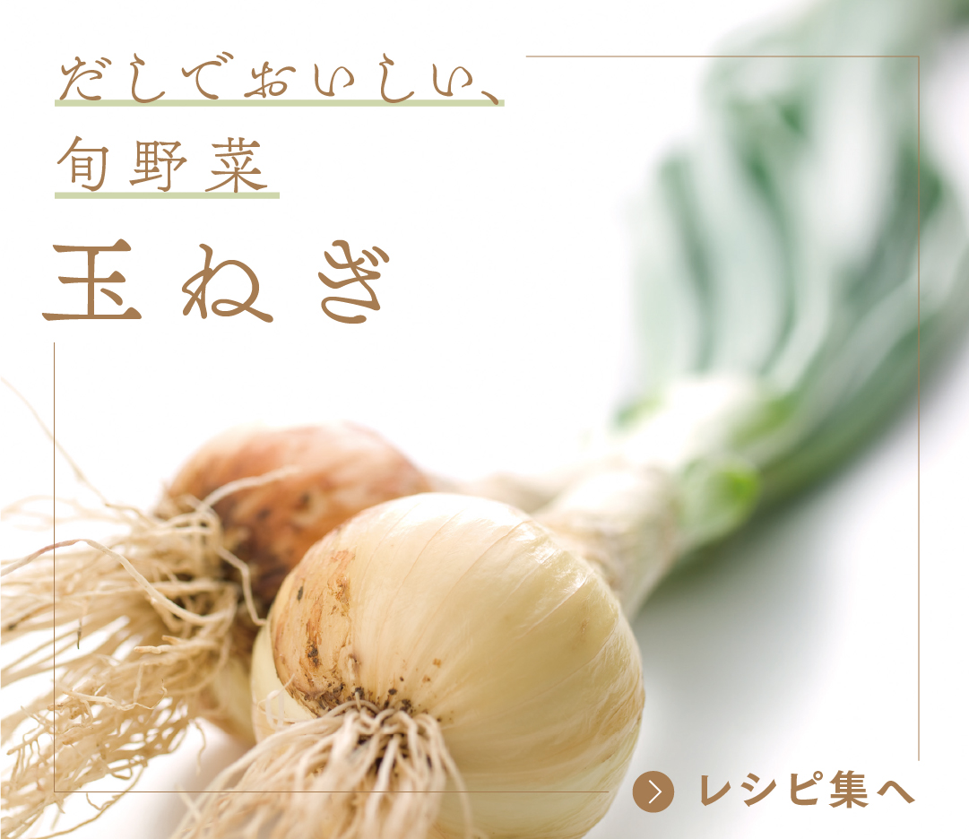 だしでおいしい、旬野菜 玉ねぎ