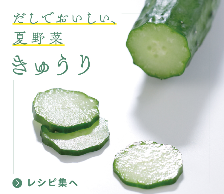 だしでおいしい、旬野菜 きゅうり
