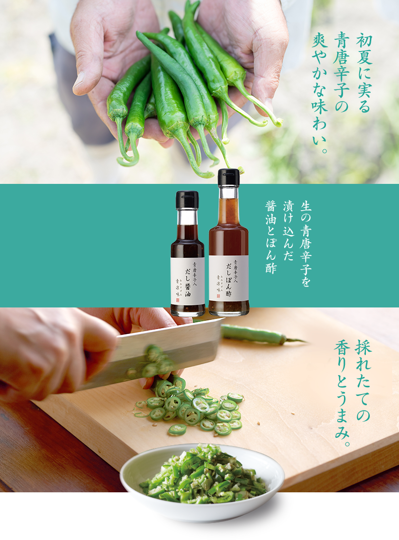 青涼味