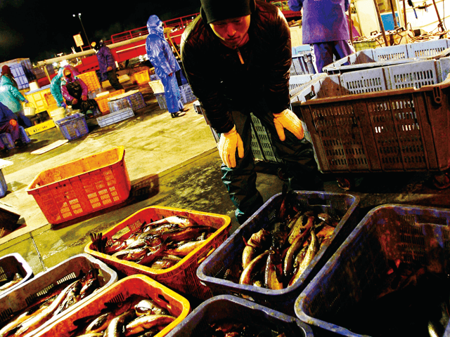 素材へのこだわり 北海道産のたらこ 椒房庵 久原本家通販サイト 公式