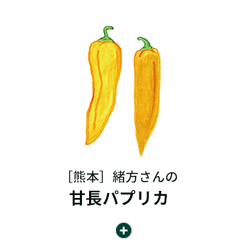 春のおいしいお料理セット 久原本家通販サイト 公式